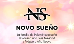 Feliz Navidad de parte de la familia Palux / Novosueño